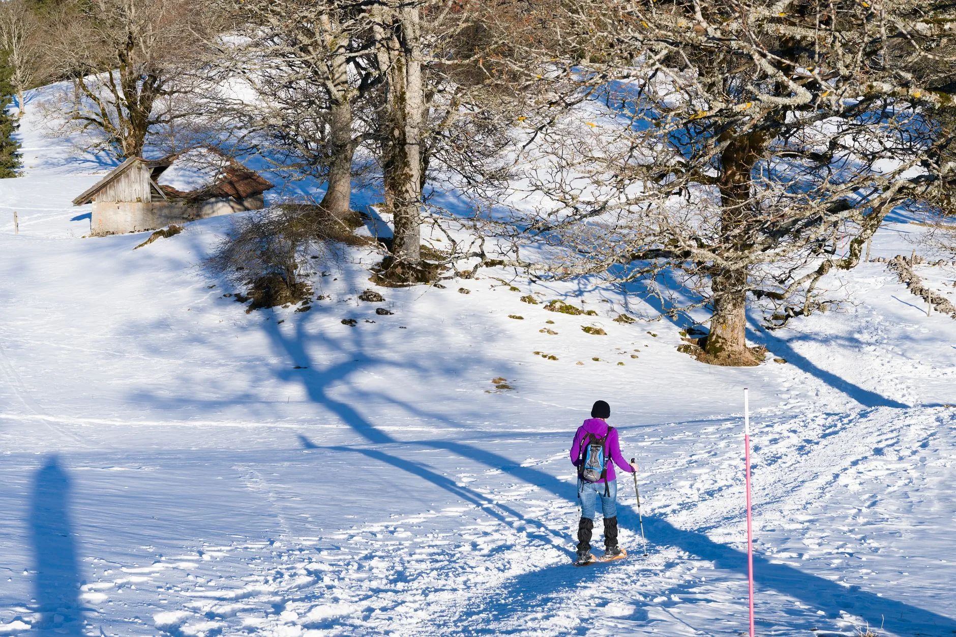 Hiver : ski de fond, raquettes et cocooning