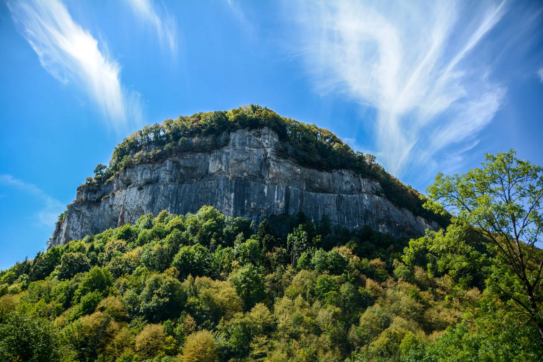 Haut-Jura : crêtes, forêts et grands espaces