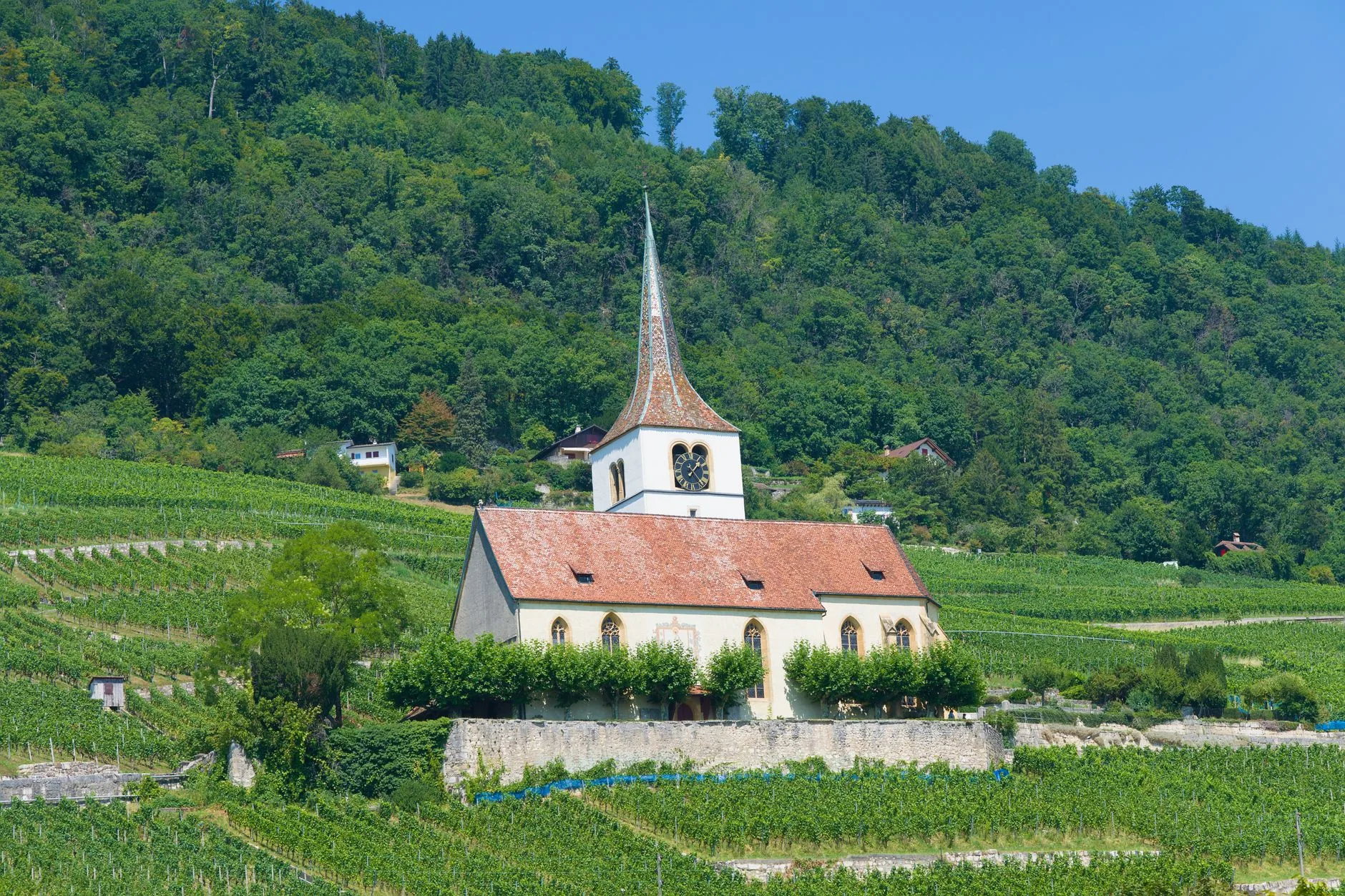 Vignoble et village dominés par les reliefs du massif du Jura